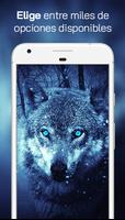 Lobo Fondos de Pantalla ภาพหน้าจอ 1