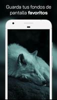 Lobo Fondos de Pantalla ภาพหน้าจอ 2