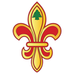 Lebanese Scout Association LSA