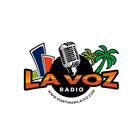 Martin Ari La Voz ícone