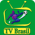 TV Brasil Ao Vivo