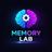 MemoryLab APK