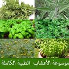موسوعة الأعشاب الطبية الكاملة بدون انترنت icon