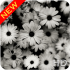 Monochrome Flower Pattern Wallpaper HD icon