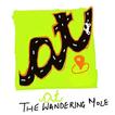 at - Travel App (The Wandering