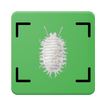 Insectos Alimentarios Escáner