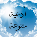 أدعية متنوعة بدون نت APK