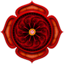 Muladhara chakra racine APK