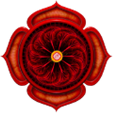 Muladhara Root Chakra icon