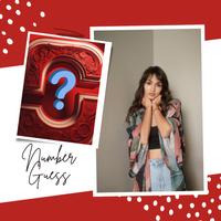 Poster Number Ninja - Guess  a Number
