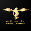 N64 Falcon