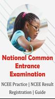 COMMON ENTRANCE EXAM (NCEE) الملصق