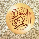 سورة البقرة simgesi