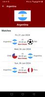 Copa 2024 screenshot 3