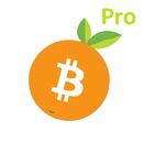 Orange Bitcoin Pro - Countdown icône