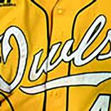 Owls Who Live Sports