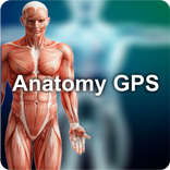 Anatomy GPS