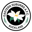 ESAFC Zeichen