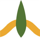 Strade di Siena Card