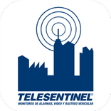 Telesentinel