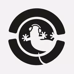 Baixar Ibiza Global Radio & TV APK