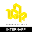 Kvarteret Igor Intern