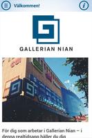 Gallerian Nian -intern info poster