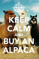 Poster Isla Alpaca