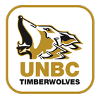 Timberwolves Soccer ícone