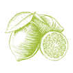 Agri Assistant