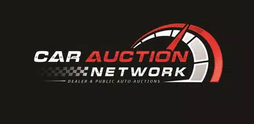 Public Auto Auctions