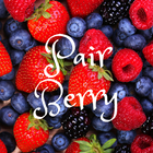 Pair Berry icône