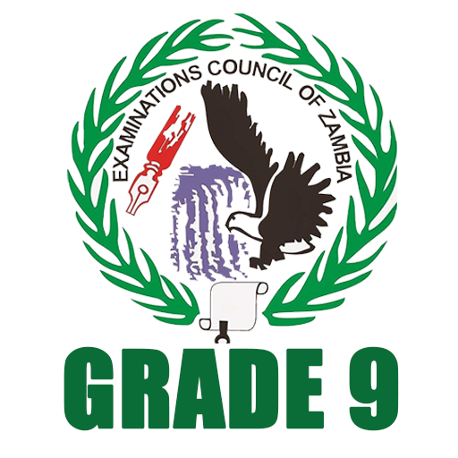 Past Papers for Grade 9