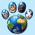 Pet & Me