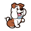 Pet Care App