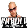 Pitbull Popular Songs