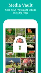 AppLock PRO XAPK download