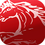 ikon easyhorse