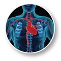 Heart Surgery Guide