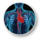 Heart Surgery Guide aplikacja