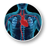 Heart Surgery Guide иконка