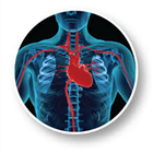 Heart Surgery Guide icône
