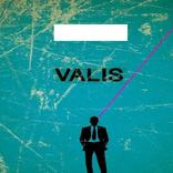 Rayo VALIS
