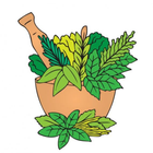 Libro Remedios Caseros Natural biểu tượng