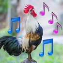 Animal Ringtone APK
