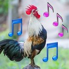 Animal Ringtone icono