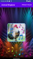 Animal Ringtone Poster