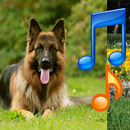 Dog Sound Ringtone APK