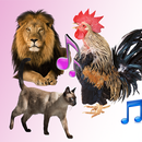 Animal Sound and Ringtone APK