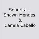 Señorita - Shawn Mendes, Camil APK